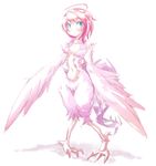  ahoge bad_id bad_pixiv_id blue_eyes feathered_wings feathers frfr harpy monster_girl original pink_hair solo wings 