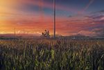  1girl bicycle cloud field ground_vehicle highres image_sample isai_shizuka md5_mismatch original pixiv_sample power_lines scenery sky 