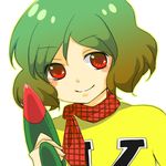 ameshito1940 chargeman_ken! closed_mouth cosplay green_hair izumi_ken izumi_ken_(cosplay) kazami_yuuka parody plaid portrait red_eyes scarf smile solo touhou unmoving_pattern white_background 