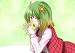  ascot covering_mouth daisy flower green_background green_hair hair_flower hair_ornament hands_clasped hane_(hanegoya) holding holding_flower kazami_yuuka leaning_forward looking_at_viewer own_hands_together plaid plaid_skirt plaid_vest red_eyes short_hair skirt skirt_set solo touhou vest 