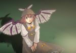  bad_id bad_pixiv_id dirty from_above hat hiromasa_(1365) looking_up mystia_lorelei shadow solo standing touhou wings 