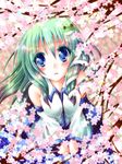  cherry_blossoms detached_sleeves frog green_hair hair_ornament kochiya_sanae long_hair meiya_neon snake solo touhou 
