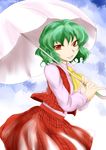  aku_(dejigiga) ascot bad_id bad_pixiv_id brown_eyes green_hair kazami_yuuka parasol short_hair skirt solo touhou umbrella 