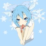  absurdres all_fours bad_id bad_pixiv_id blue blue_eyes blue_hair blush bow cirno downblouse hair_bow highres ice ichi-jirushi mouth_hold no_pants panties polka_dot polka_dot_panties ribbon ribbon_in_mouth shirt short_hair simple_background snow snowflakes solo touhou underwear white_shirt wings 