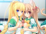  animal_ears blonde_hair blue_eyes blush breasts brown_hair catgirl censored game_cg koshimizu_rei mikagami_mamizu neko_koi nipples paizuri penis ryuudou_misaki tail whirlpool 