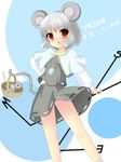  animal_ears basket capelet grey_hair jewelry kumatoshi mouse mouse_ears mouse_tail nazrin panties pendant red_eyes solo tail touhou underwear 