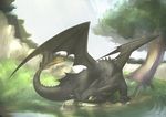  feral grass grey_scales hi_res how_to_train_your_dragon male night_fury solo toothless tree uta-inu water wings wood 