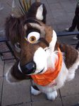  brown_eyes canine dog fish_eye fursuit heterochromia male mammal solo source_request unknown_artist 