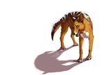  feral male mammal marsupial non-anthro rednight solo thylacine 