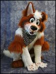  border_collie canine dog fursuit green_eyes hair jill0r looking_at_viewer male mammal real short_hair solo white_hair 