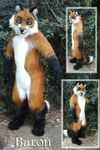  canine fox fursuit green_eyes looking_at_viewer male mammal real smirk solo 