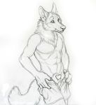  canine canine_penis cruelty cute ear_piercing earring eyes fur muscles muzzle pants paws piercing reis rukis sheath smile solo tail teaser-rough topless undressing unsheathed wolf 