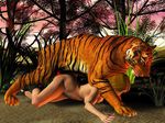  animal feline female feral human interspecies male penis straight tiger zoo 