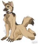  anthro blue_eyes bone breasts canine chest_tuft collar dog fang female german_shepherd gsd keihound kytie looking_at_viewer nipples nude open_mouth playful raised_tail smile solo tail 
