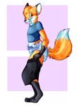  brown_eyes canine diaper fox kalida male smile solo tail tongue 
