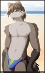  banana_hammock beach blue_eyes brown_hair bulge eyewear glasses hair looking_at_viewer male mammal nipple_piercing nipples piercing raccoon seaside shiuk solo tail thong underwear 