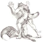  anthro balls blotch canine canine_penis cum duo flaccid fox gay knot licking licking_lips male mammal monochrome penis plain_background sheath sketch tongue white_background wolf 