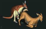  all_fours anatomically_correct animal_genitalia ass_up balls cervine cum cum_in_pussy cum_inside deer doggy_position doggystyle emptyset female feral feral_on_feral from_behind hooves kangaroo lying male mammal marsupial non-anthro on_front penis sex straight tapering_penis 