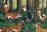  2010 canine female feral forest fox group imminent_rape licking_lips male outside straight tani_da_real tree 