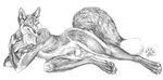  anthro balls blotch canine claws fluffy_tail fox greyscale hindpaw looking_at_viewer lying male mammal monochrome nude on_side paws plain_background pose sheath sketch solo white_background 