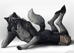  balls black_nose canine grey_hair kaji looking_at_viewer male nipples ponytail sheath shorts solo tattoo topless wallpaper white_eyes wold wolf 