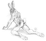  2009 blotch butt ears hindpaw kneeling lagomorph looking_at_viewer male nude paws rabbit sketch solo 