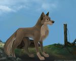  balto balto_(film) canine chest_tuft colored dog feral male outside silvarn smile solo wolf 
