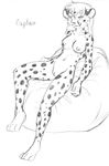  cheetah feline female mammal nude plain_background solo vilani white_background 