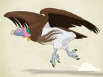  2010 avian bird collar female flying mei solo ukabor vulture wings 