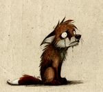  canine crying fox male sad skia solo tail tears 