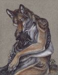  2009 blotch canine colored couple cuddle dog ear_tufts eyes_closed female hug husky male wolf yellow_eyes 
