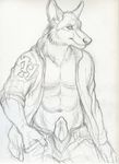  canine canine_penis male nude penis reis rukis sketch solo teaser wolf 