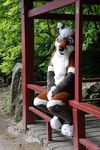  canine fox fursuit looking_at_viewer male mammal nature sitting solo source_request unknown_artist 
