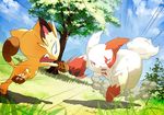  ??? back fight grass hindpaw kaku_mui meowth nintendo outside paws pok&#233;mon pok&eacute;mon tree video_games wood zangoose 