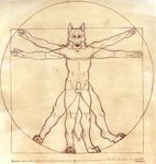  2005 canine canon_of_proportions korrok leonardo_da_vinci male monochrome penis solo the_vitruvian_man wolf 