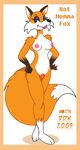  2009 anthro border breasts canine female fox mammal nipples nude plain_background reddragonkan solo white_background 