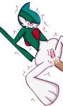  gallade kugi pokemon tagme 