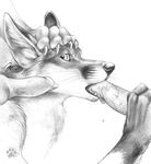  blotch canine canine_penis cum fox gay male oral penis threesome tongue 