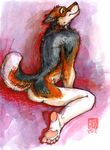  allison_reed canine folf fox java male mudshark nude solo wolf wolfox 