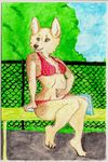  bikini books canine corgi dog ebba female green_eyes outside polka_dots skimpy solo 
