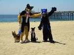  beach canine dog dogbomb feral fox furries_with_pets fursuit human itsuya open_mouth photo real seaside yawn 