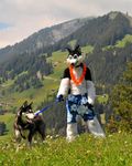  dog feral fursuit malamute male mammal nature real scenic shiba_inu switzerland unknown_artist 