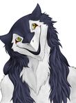  female rain_silves sergal smile solo tamasan yellow_eyes 