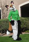  blonde_hair canine cargo_pants clothed don&#039;t_hug_cacti female fox fursuit green_eyes hair hoodie open_mouth outside paws photo real rusc solo standing tail 