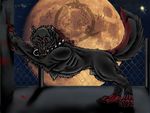  blood claws collar feral looking_at_viewer male night piercing sheath solo werewolf xarox 