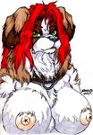  breasts bust canine collar dog female fenrir_lunaris green_eyes looking_at_viewer nipples red_hair solo st_bernard 