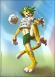  2010 feline football grass leopard male mascot shorts soccer solo south_africa world_cup zakumi zen 