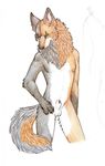  balls canine fox hybrid male mammal nude penis penis_tip plain_background purra purraparru sheath solo white_background wolf 