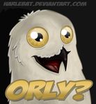  avian meme o_rly orly owl solo 