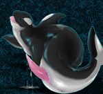  cetacean feral male mammal marine narse orca penis precum solo tapering_penis whale 